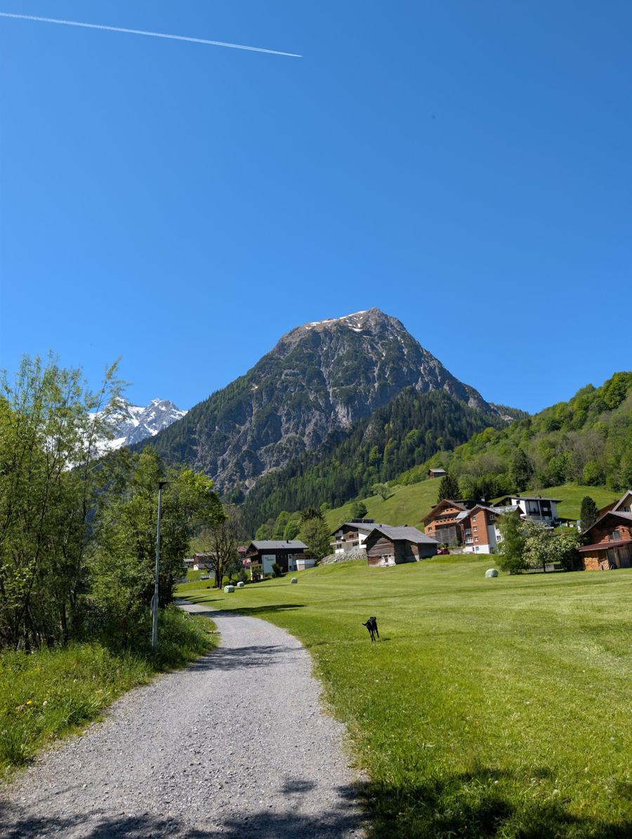 Wanderweg über eine Wiese, dahinter ein Berggipfel